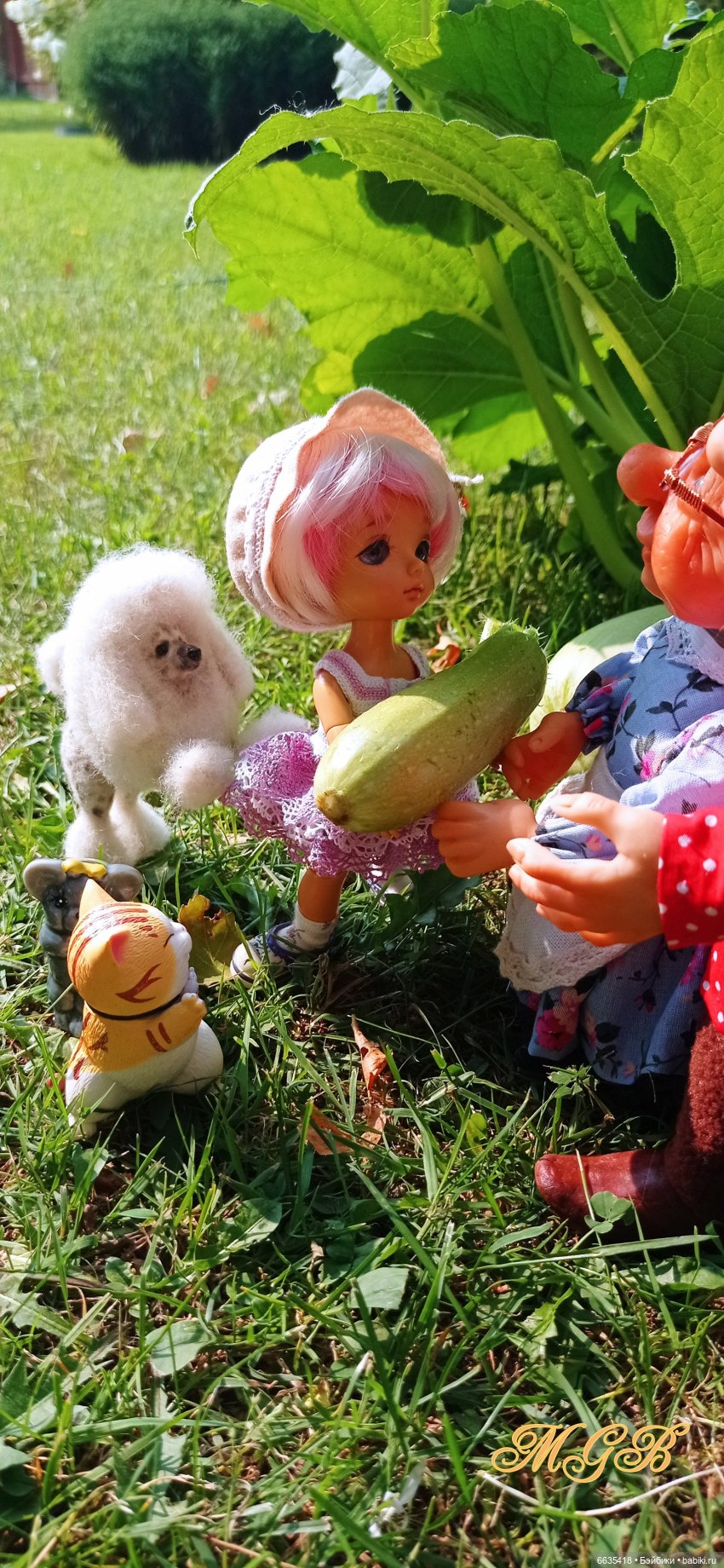 Сюжет одного летнего дня. Часть 1 «Кабачки, тыква и наша дружная команда»