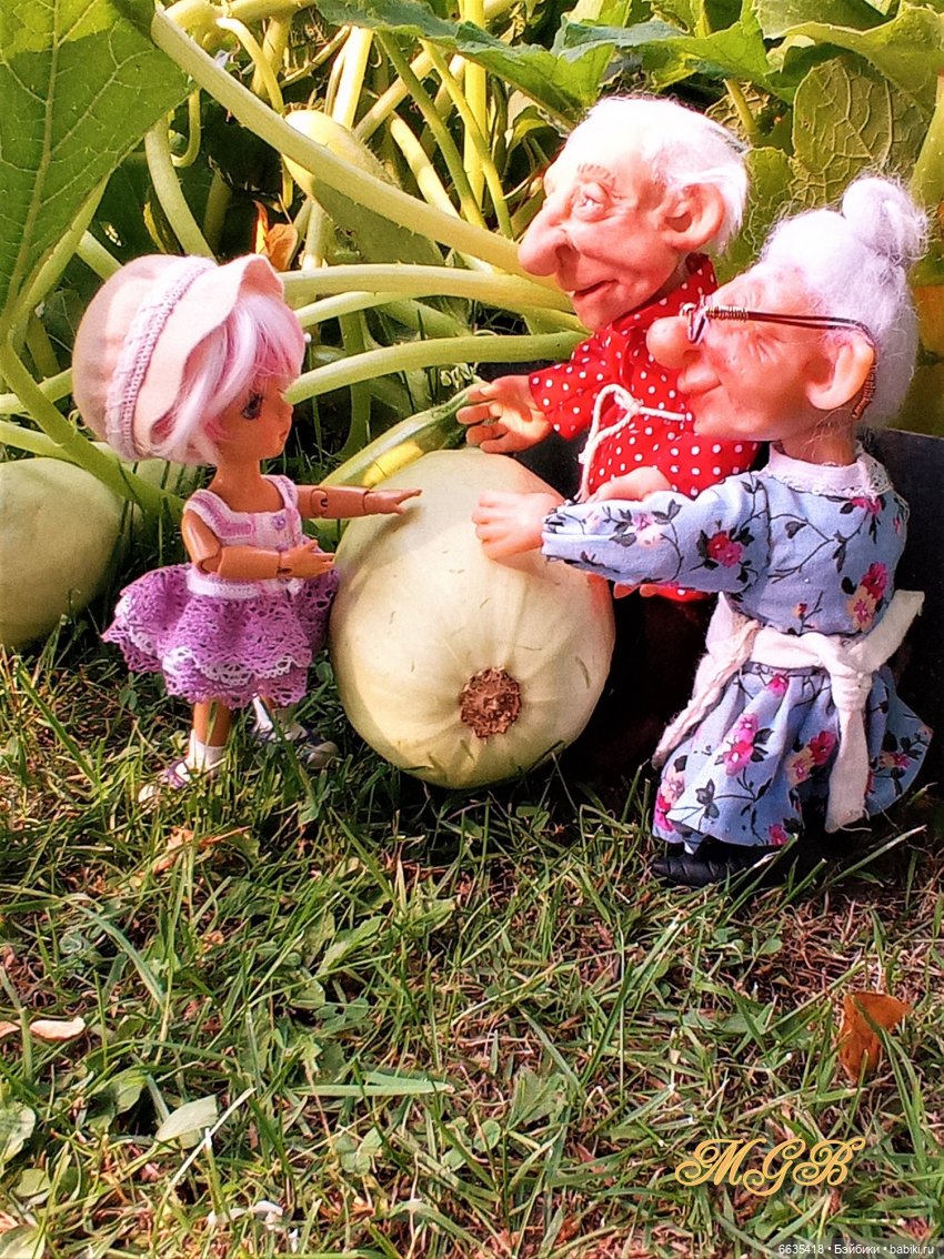 Сюжет одного летнего дня. Часть 1 «Кабачки, тыква и наша дружная команда» (фото 4)