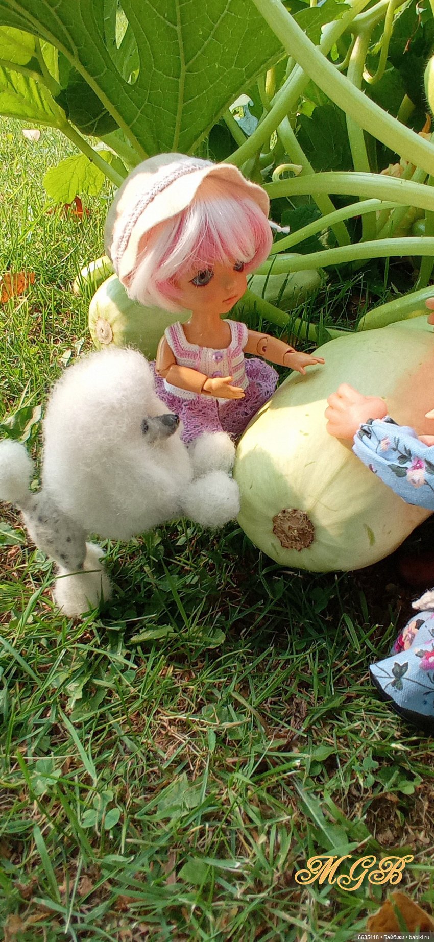 Сюжет одного летнего дня. Часть 1 «Кабачки, тыква и наша дружная команда» (фото 6)