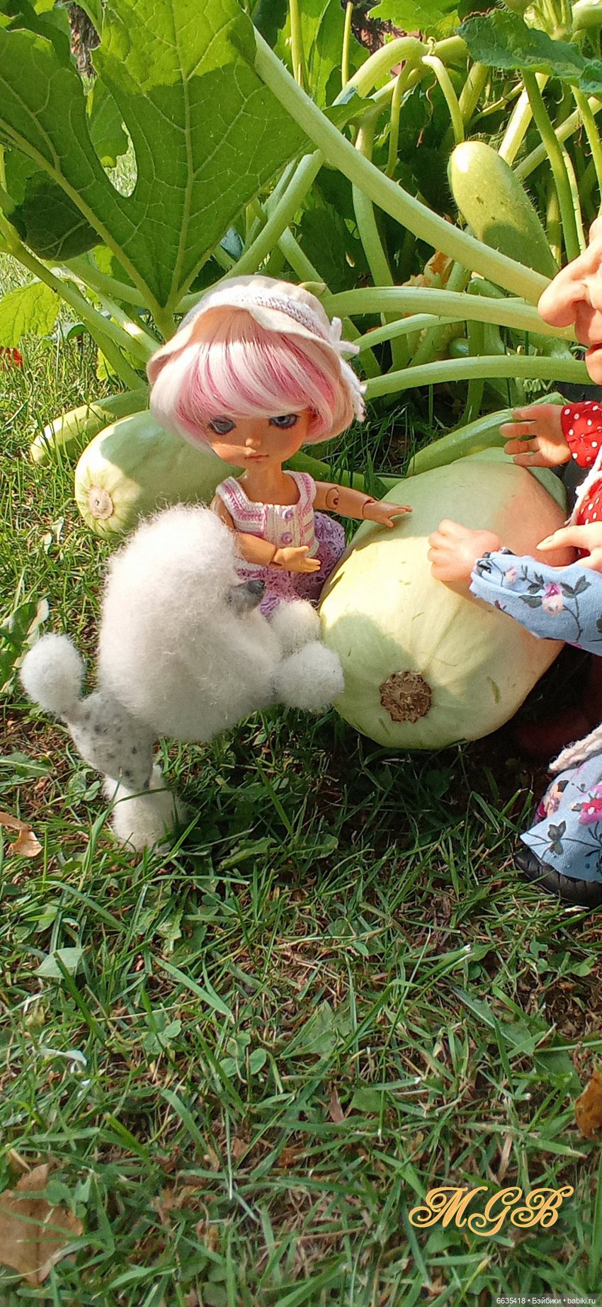 Сюжет одного летнего дня. Часть 1 «Кабачки, тыква и наша дружная команда» (фото 7)