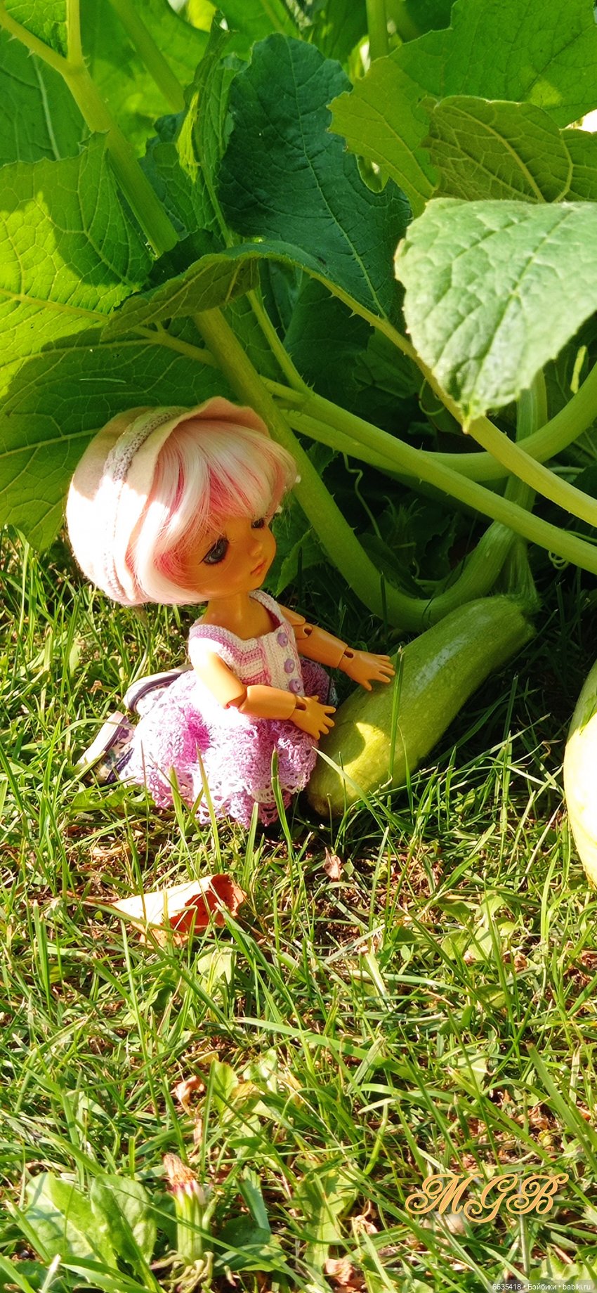 Сюжет одного летнего дня. Часть 1 «Кабачки, тыква и наша дружная команда» (фото 9)