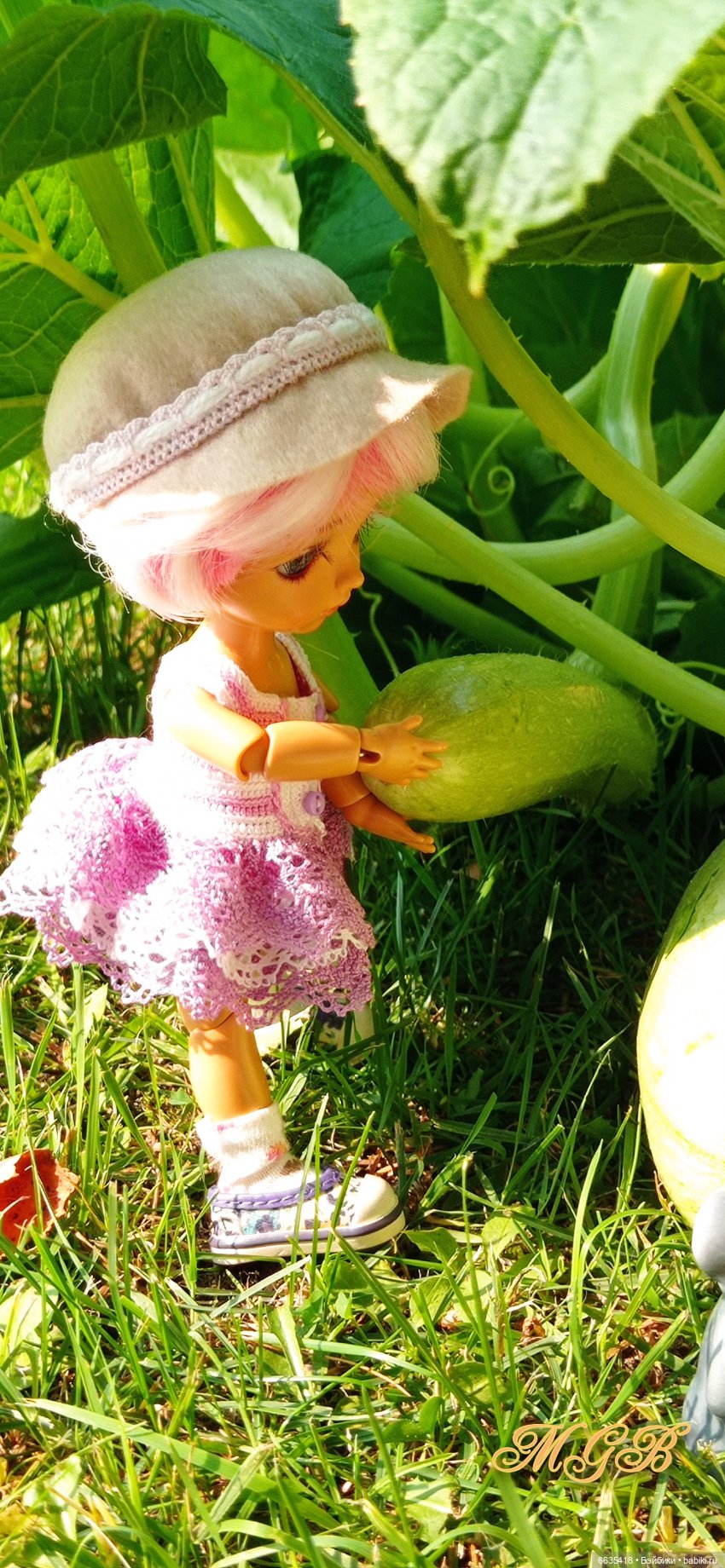 Сюжет одного летнего дня. Часть 1 «Кабачки, тыква и наша дружная команда»