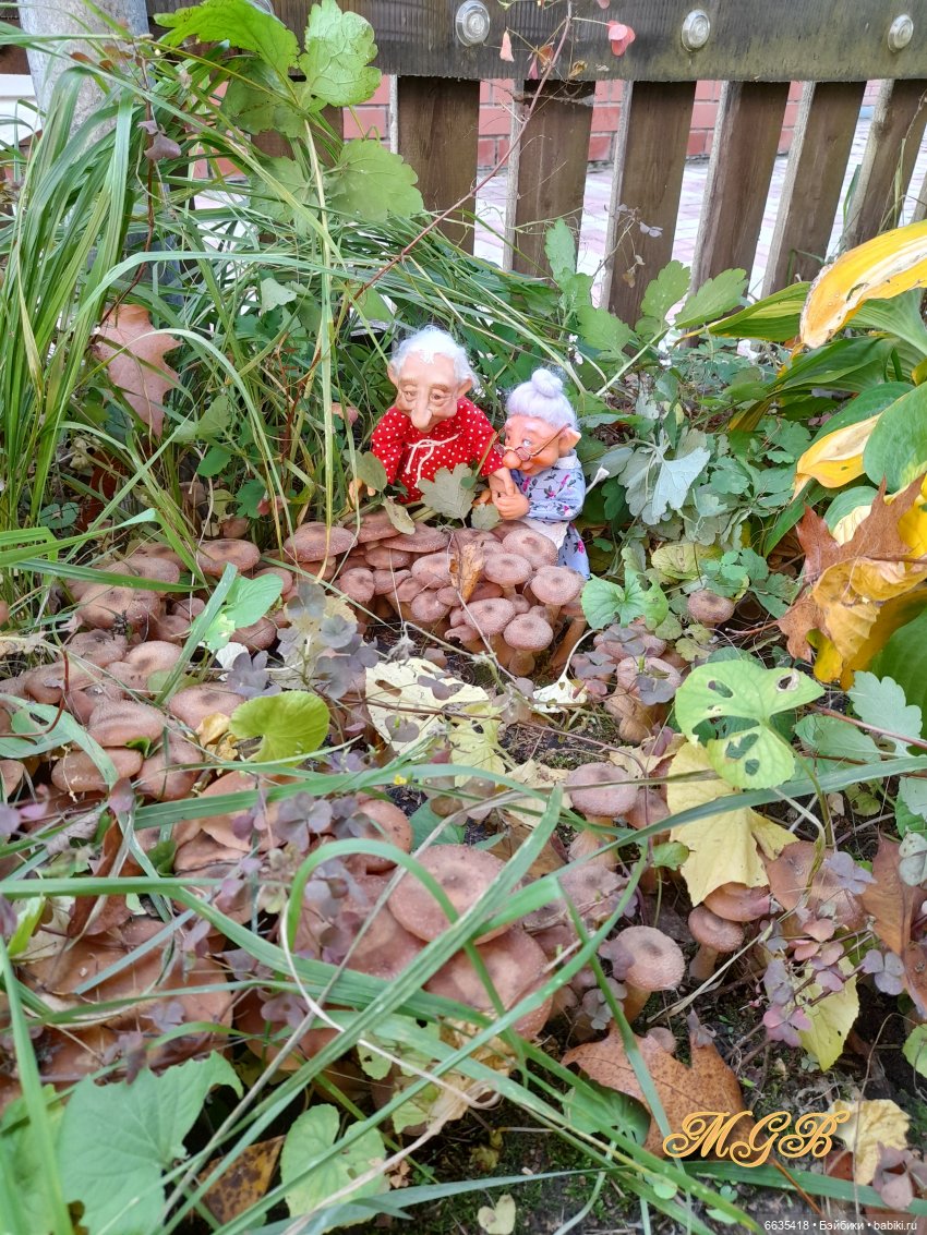 Кто бы мог подумать… — Домашние фото авторских кукол: личные коллекции (фото 10)