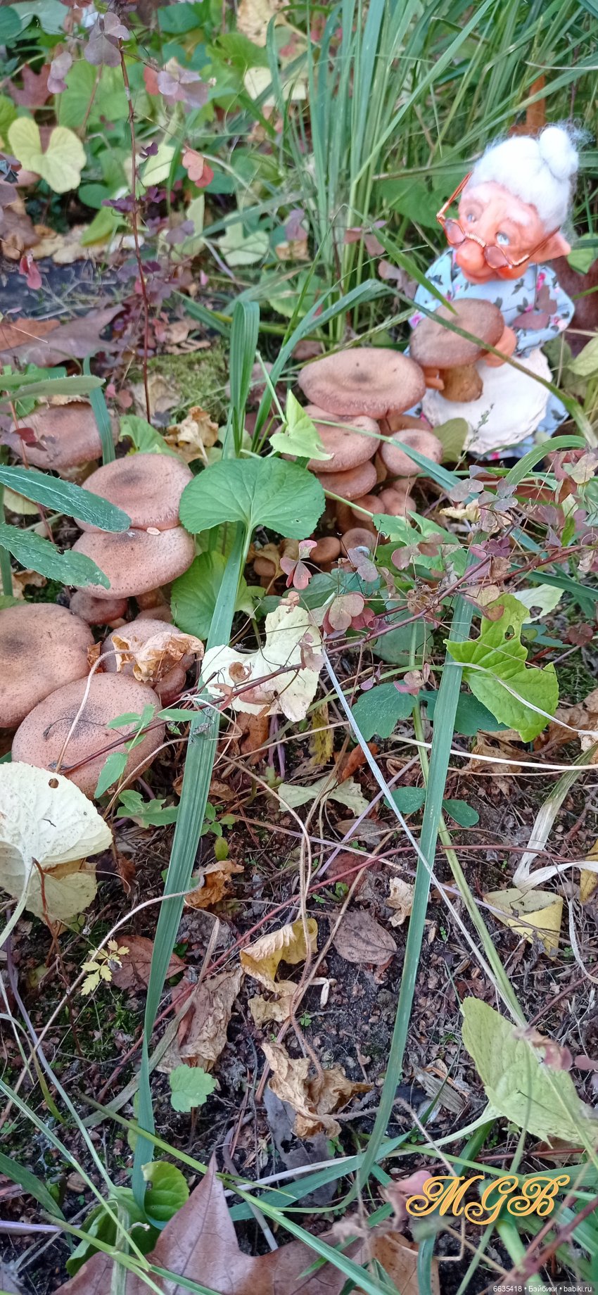 Кто бы мог подумать… — Домашние фото авторских кукол: личные коллекции