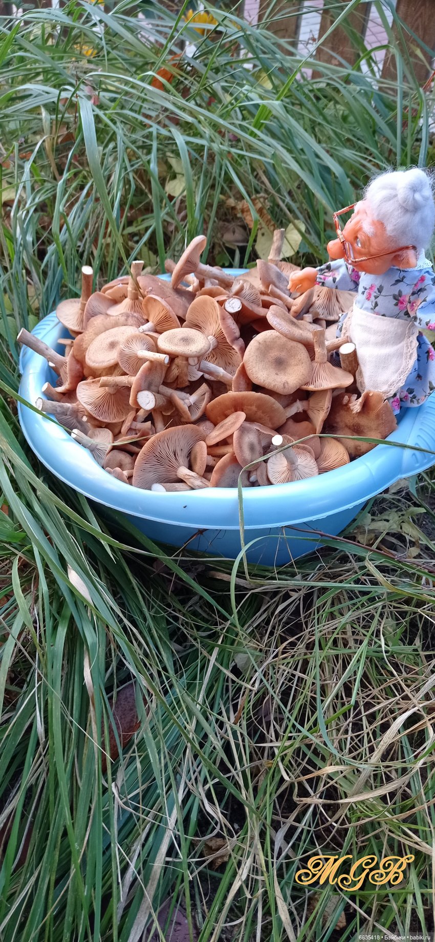 Кто бы мог подумать… — Домашние фото авторских кукол: личные коллекции