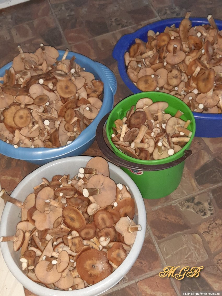 Кто бы мог подумать… — Домашние фото авторских кукол: личные коллекции (фото 6)