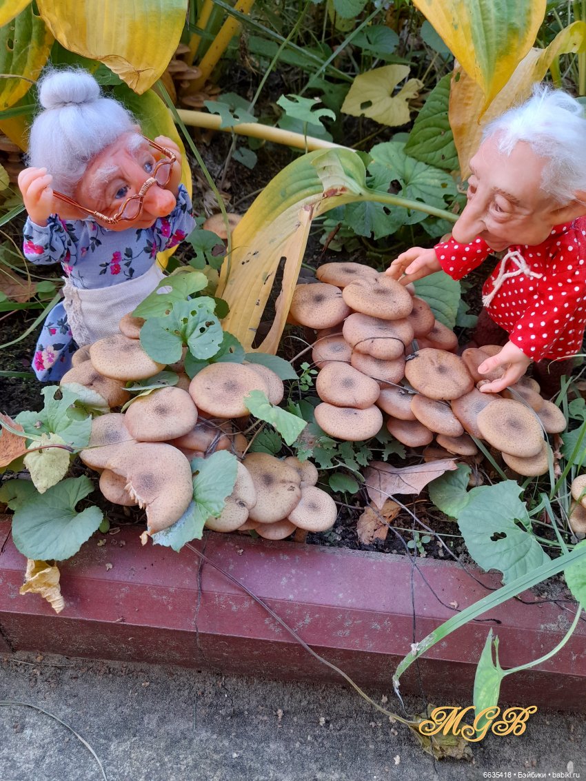 Кто бы мог подумать… — Домашние фото авторских кукол: личные коллекции (фото 3)