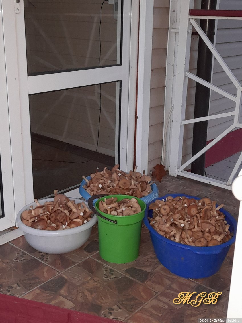 Кто бы мог подумать… — Домашние фото авторских кукол: личные коллекции (фото 5)