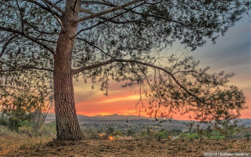 Как я создавала свою «Золушку» с участием моих кукол