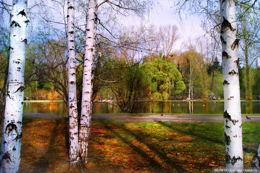 Как создавалась история «Дорога в сказку «Приключения Буратино»» (фото 2)