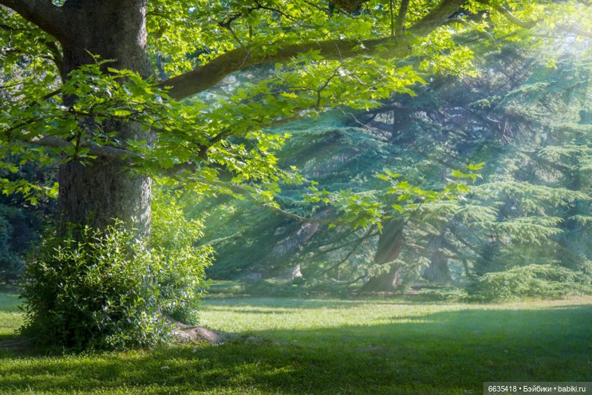 Как создавалась история «Дорога в сказку «Приключения Буратино»» (фото 5)