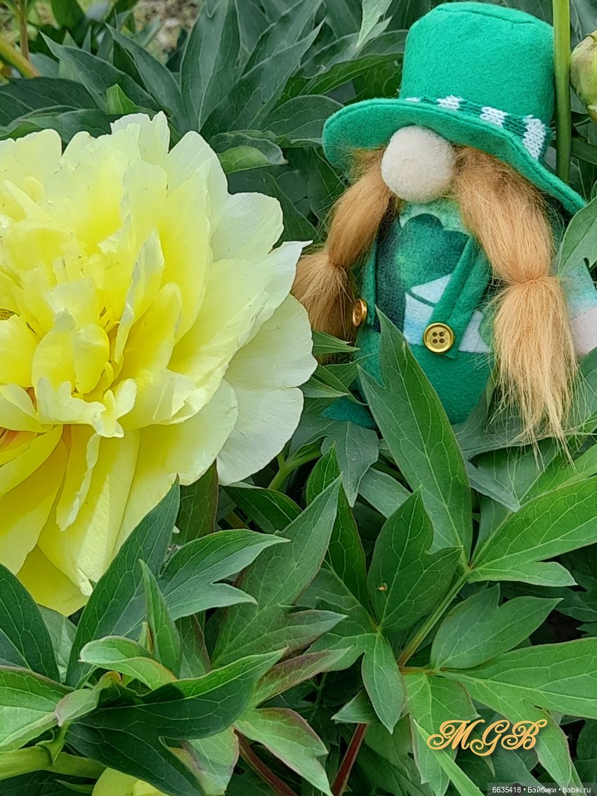 О том, как гуляли лесные гномы в саду