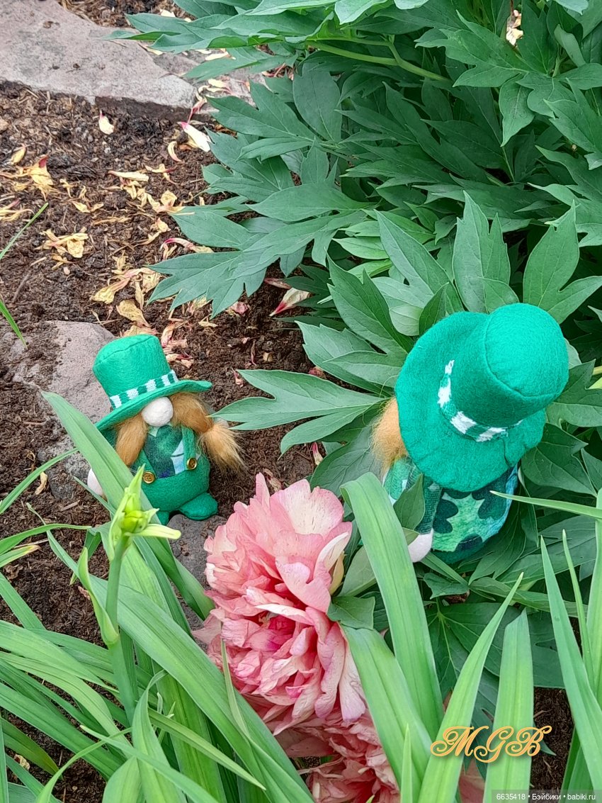 О том, как гуляли лесные гномы в саду