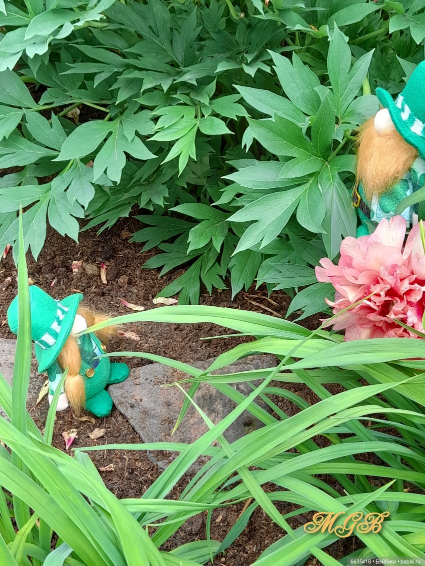 О том, как гуляли лесные гномы в саду