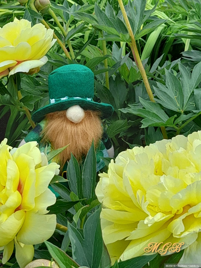 О том, как гуляли лесные гномы в саду