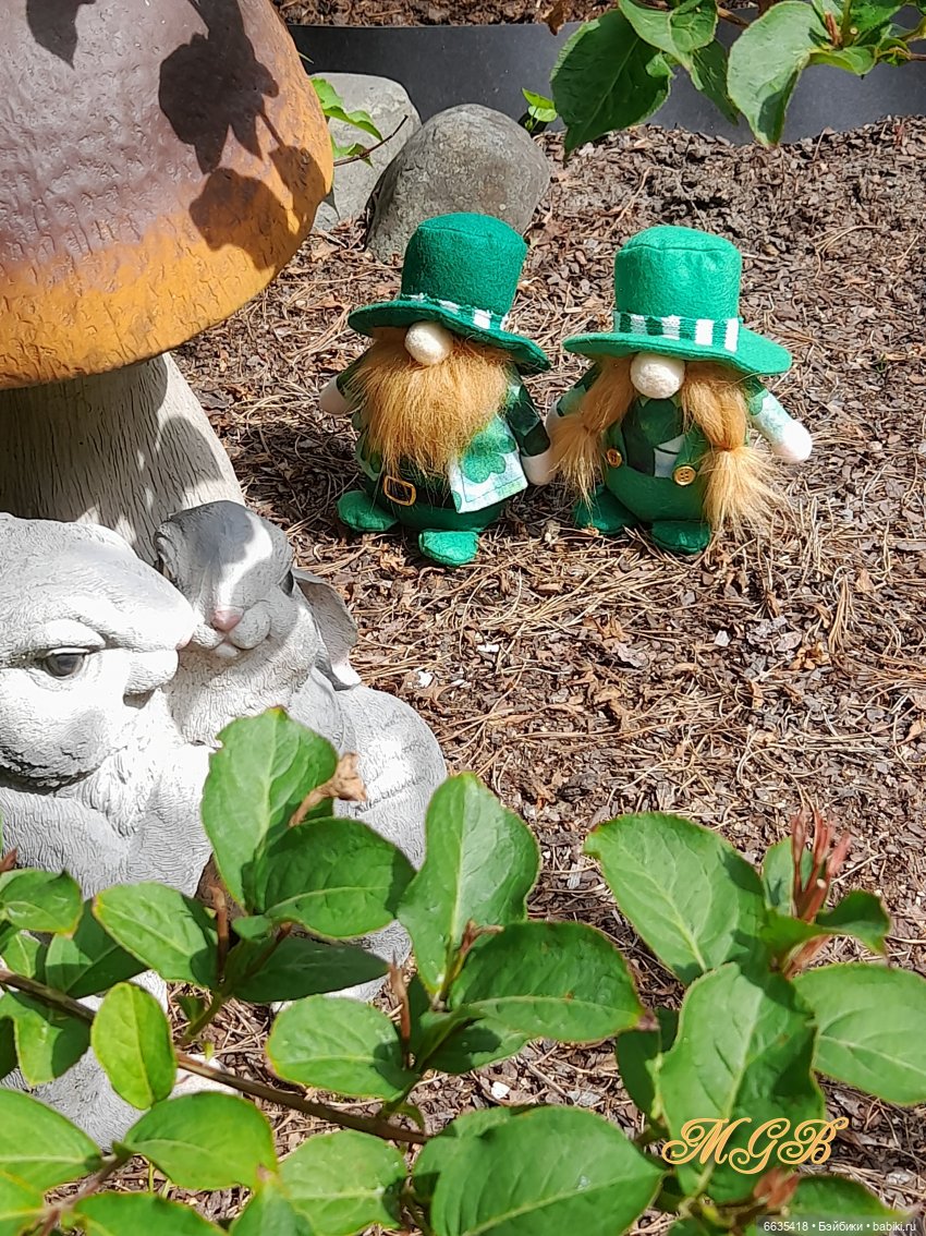 О том, как гуляли лесные гномы в саду