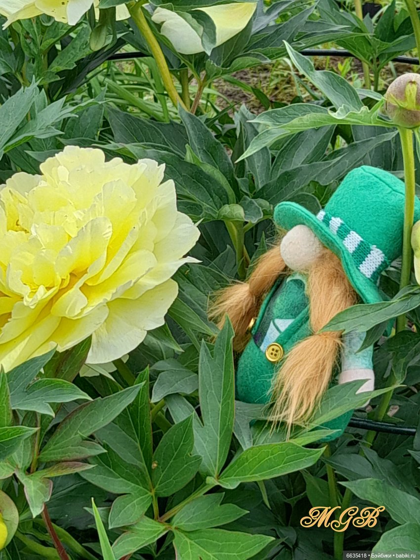 О том, как гуляли лесные гномы в саду