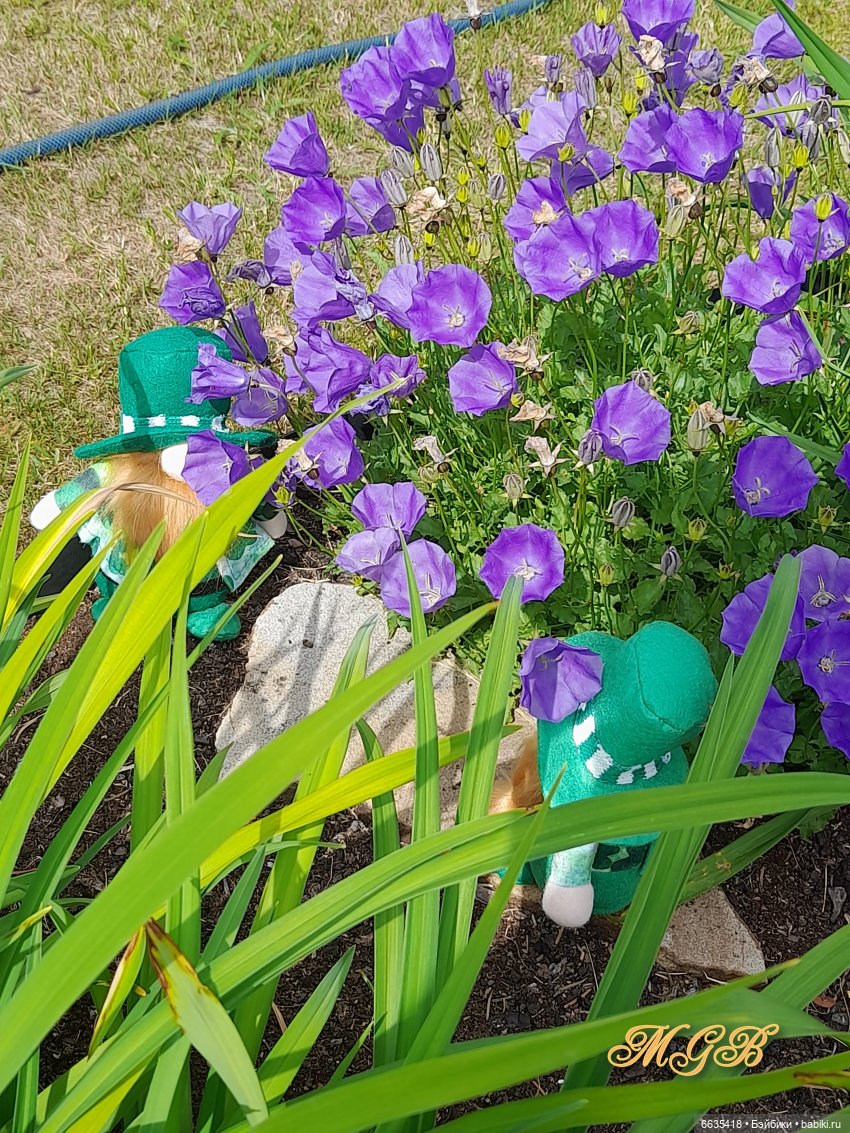 О том, как гуляли лесные гномы в саду