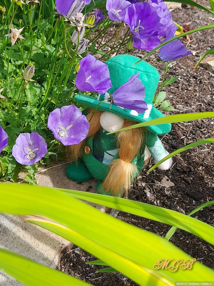 О том, как гуляли лесные гномы в саду