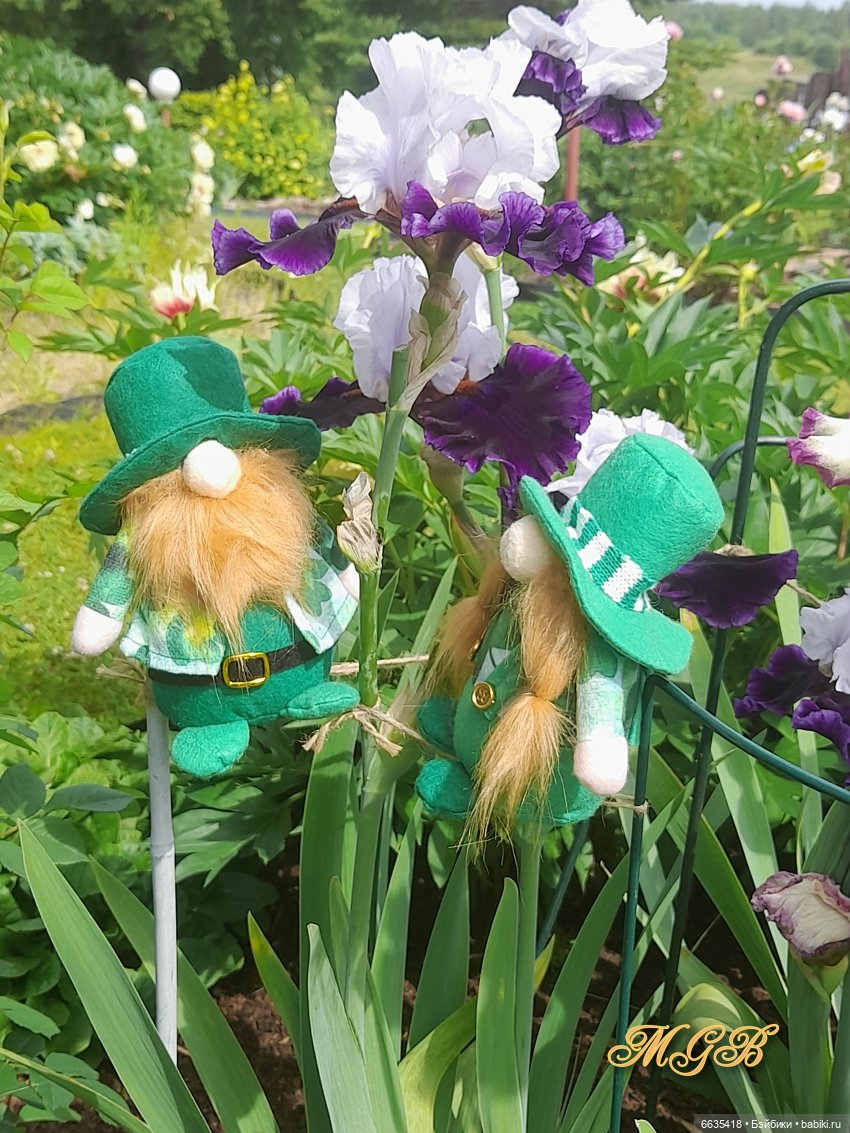 О том, как гуляли лесные гномы в саду