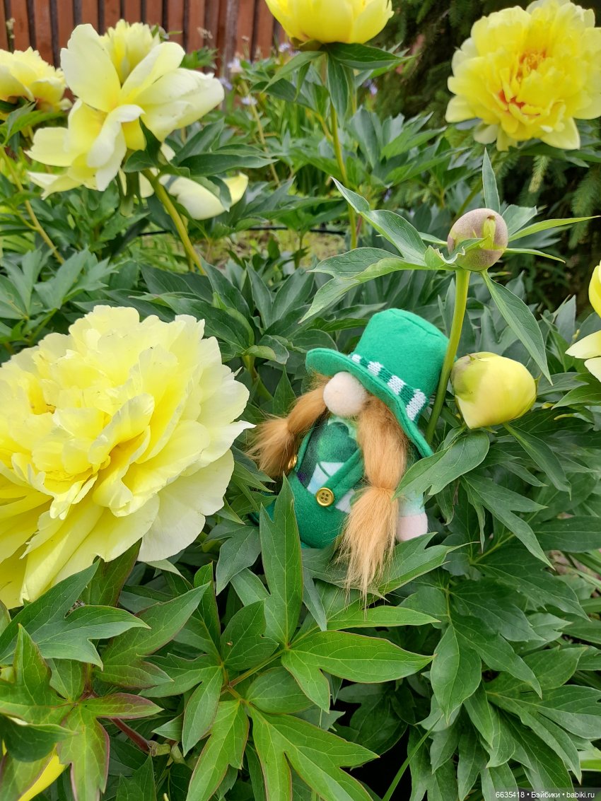 О том, как гуляли лесные гномы в саду