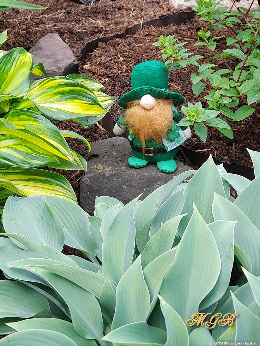 О том, как гуляли лесные гномы в саду (фото 10)