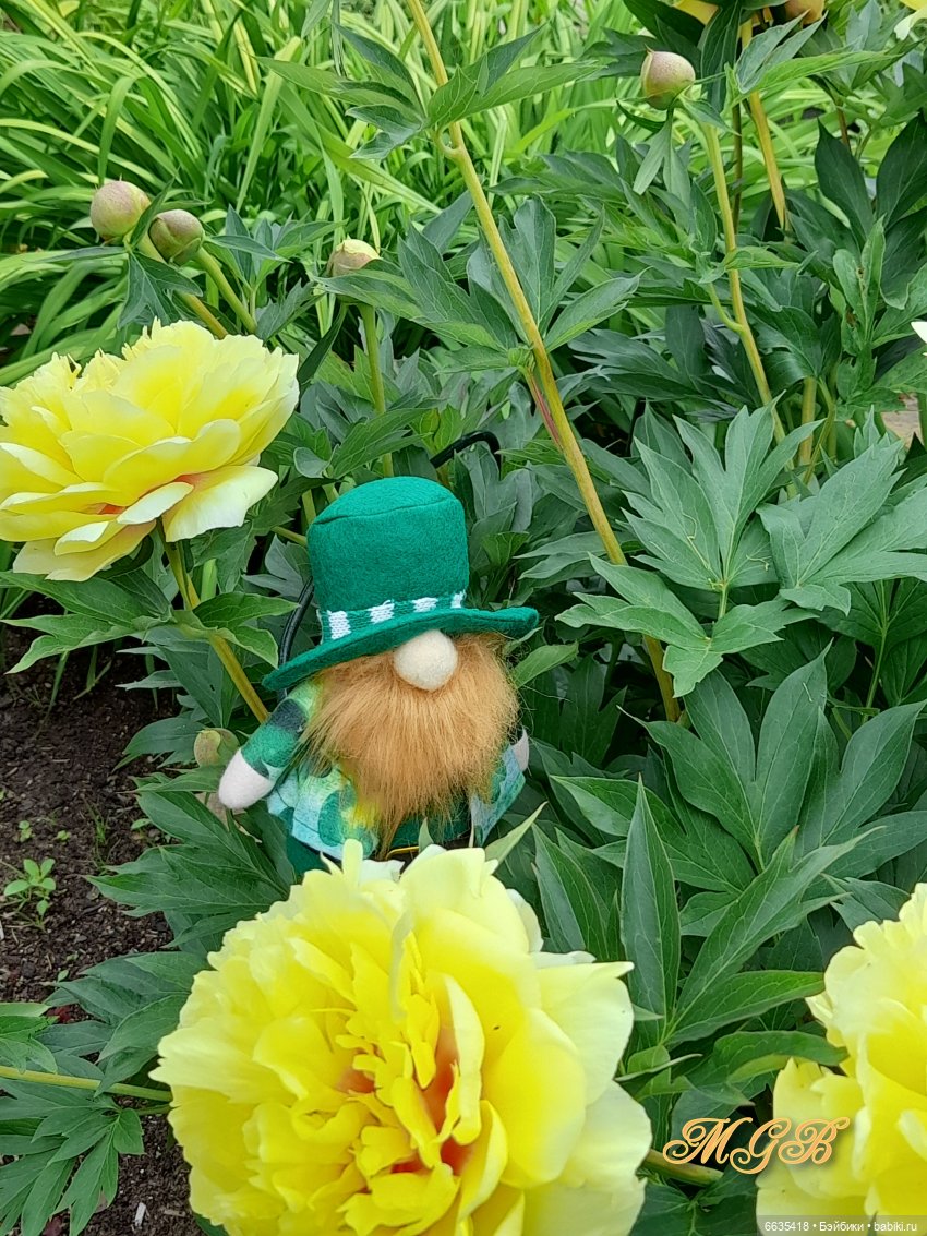 О том, как гуляли лесные гномы в саду