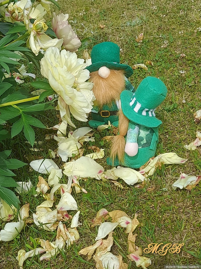 О том, как гуляли лесные гномы в саду