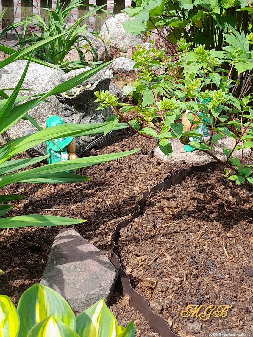 О том, как гуляли лесные гномы в саду