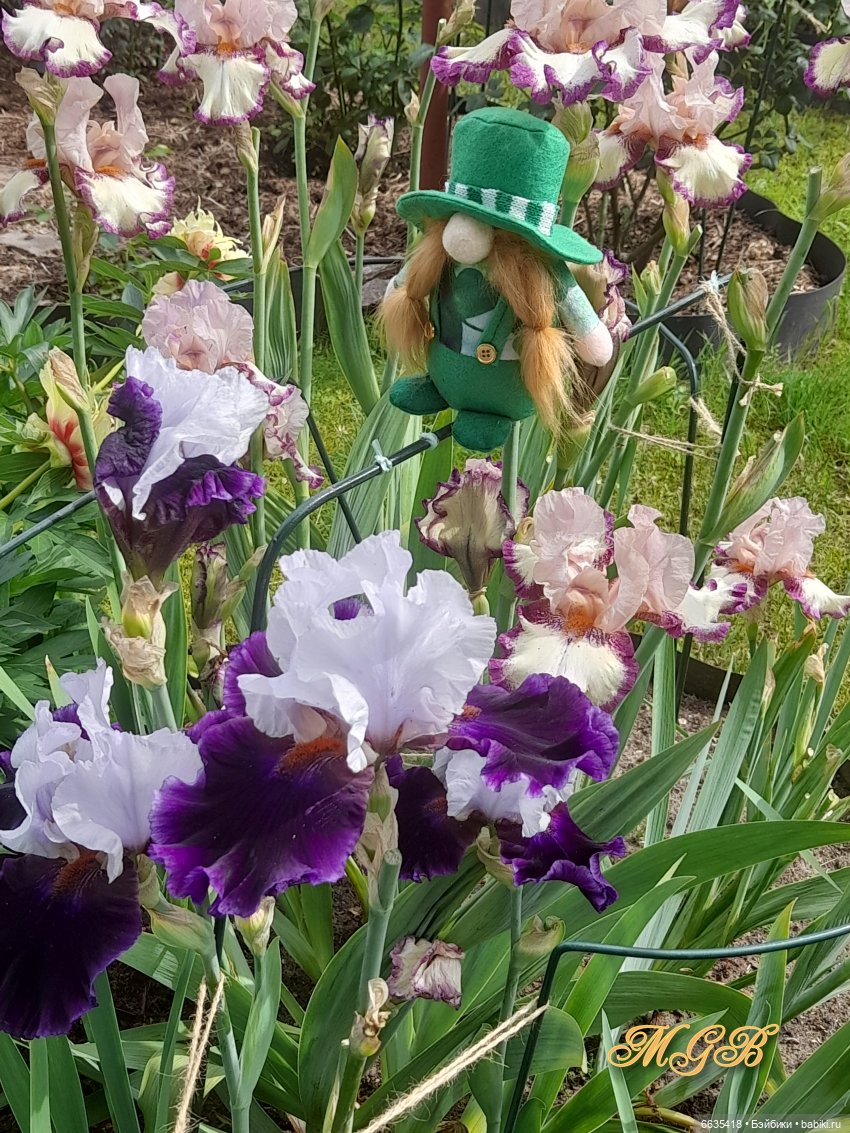 О том, как гуляли лесные гномы в саду