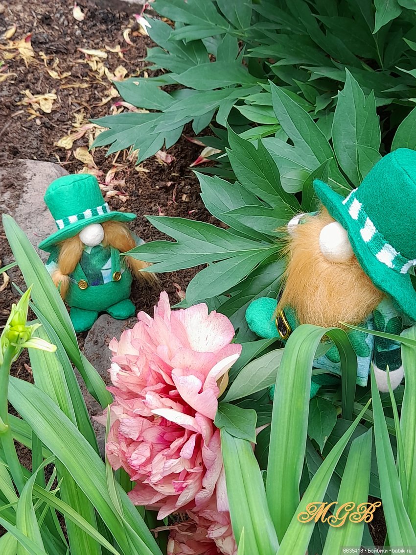 О том, как гуляли лесные гномы в саду