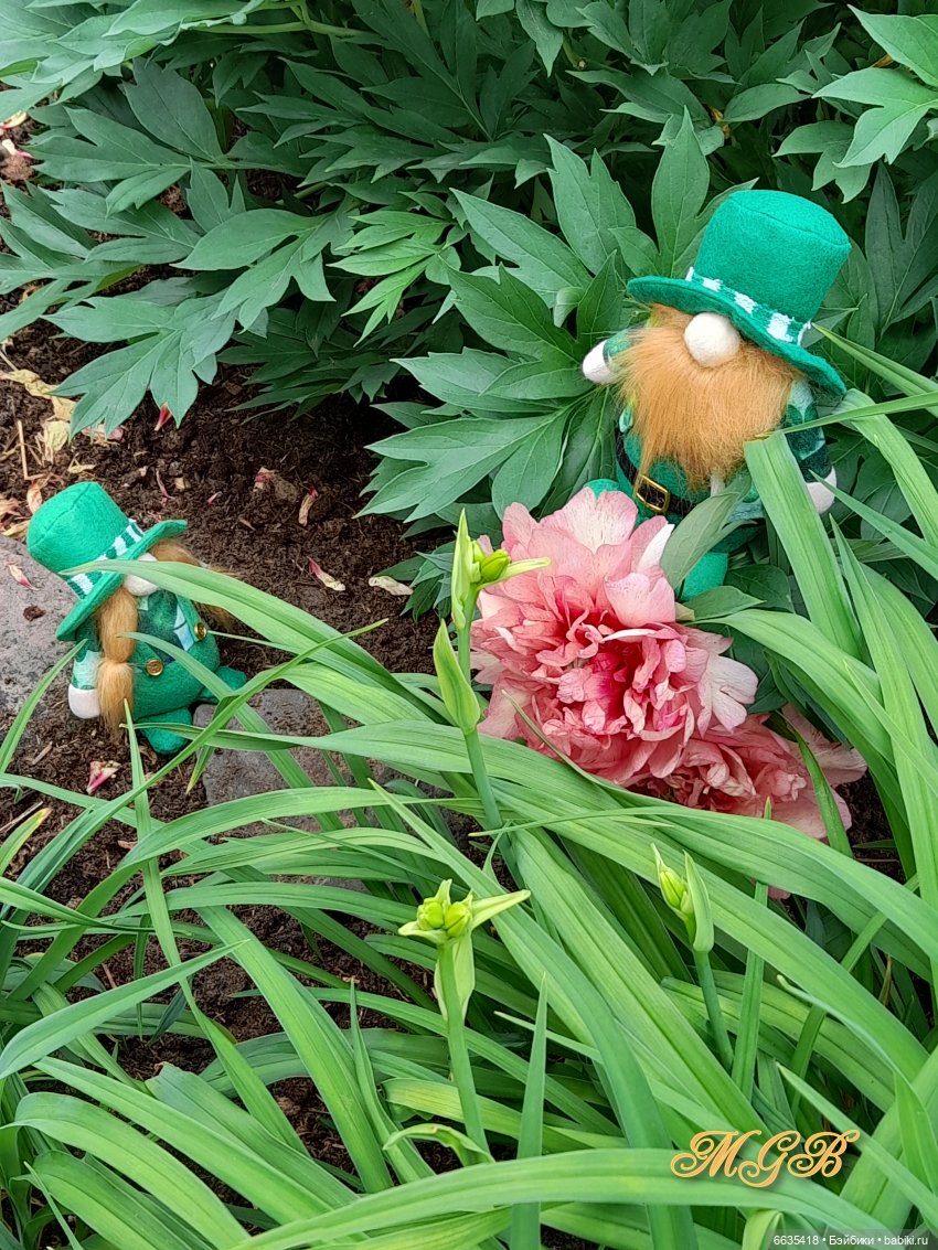 О том, как гуляли лесные гномы в саду