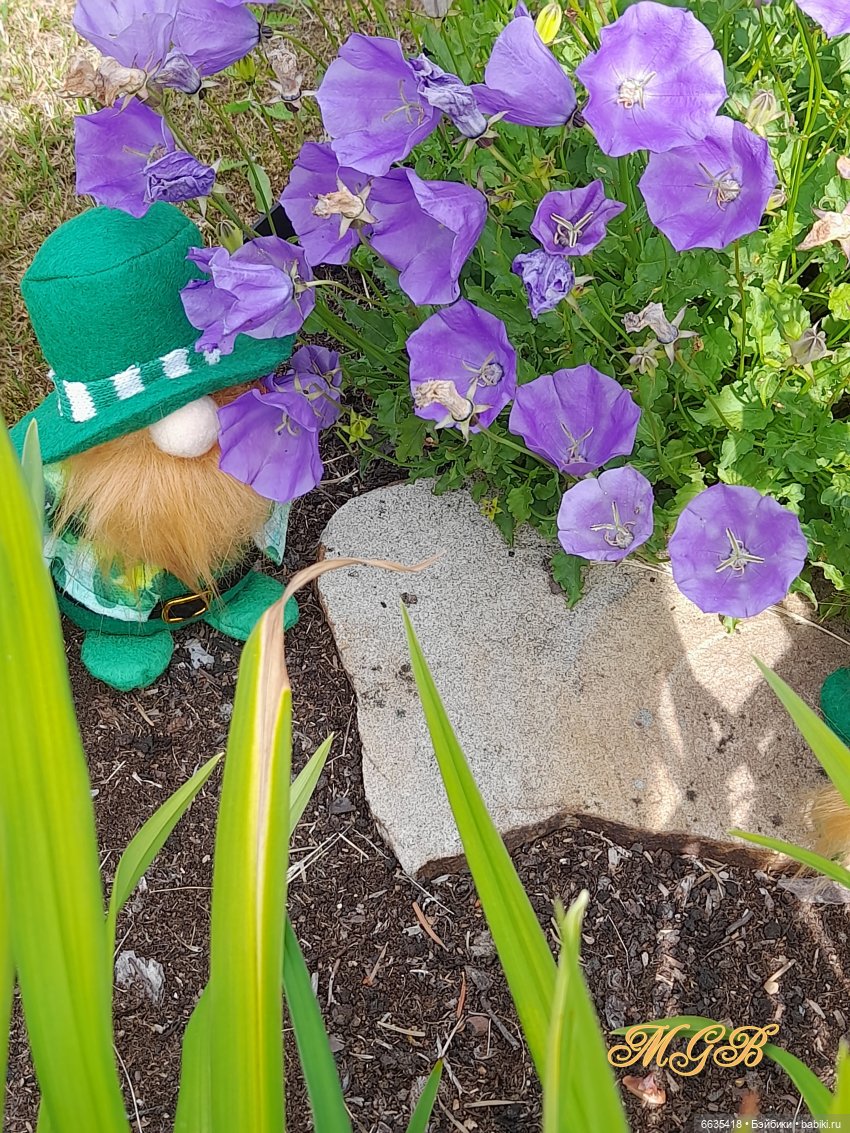 О том, как гуляли лесные гномы в саду