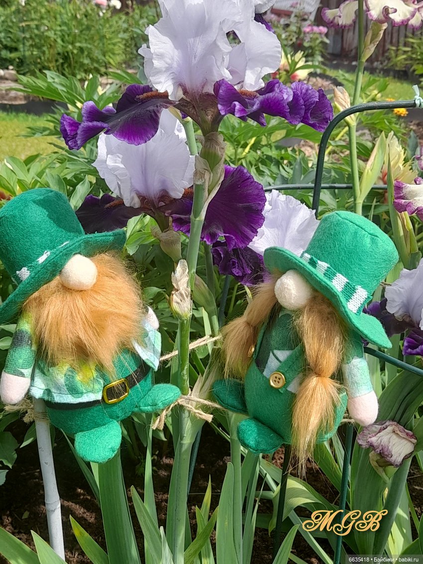 О том, как гуляли лесные гномы в саду