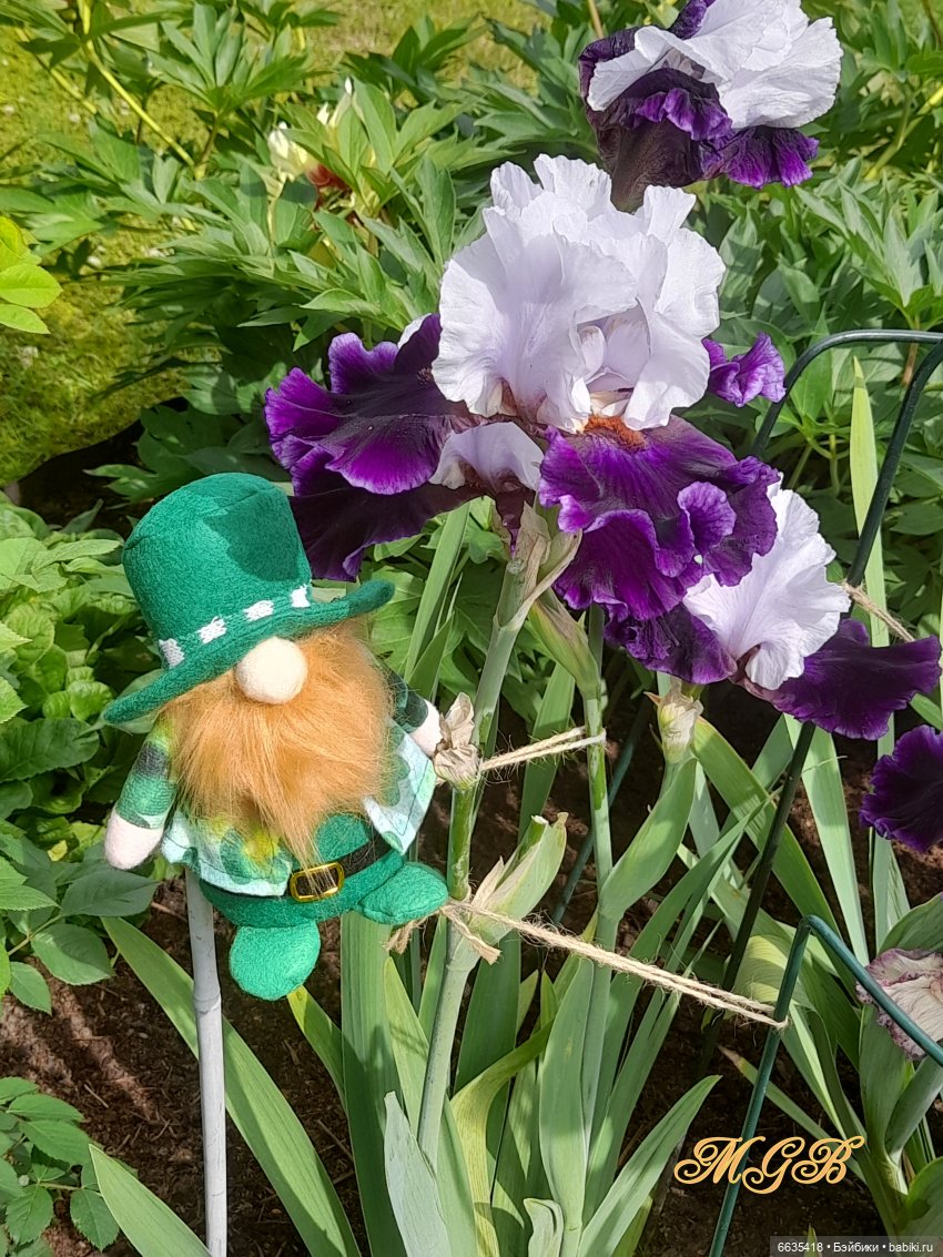 О том, как гуляли лесные гномы в саду