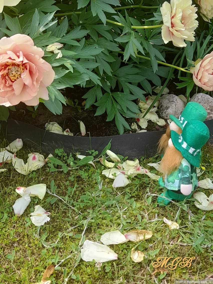 О том, как гуляли лесные гномы в саду