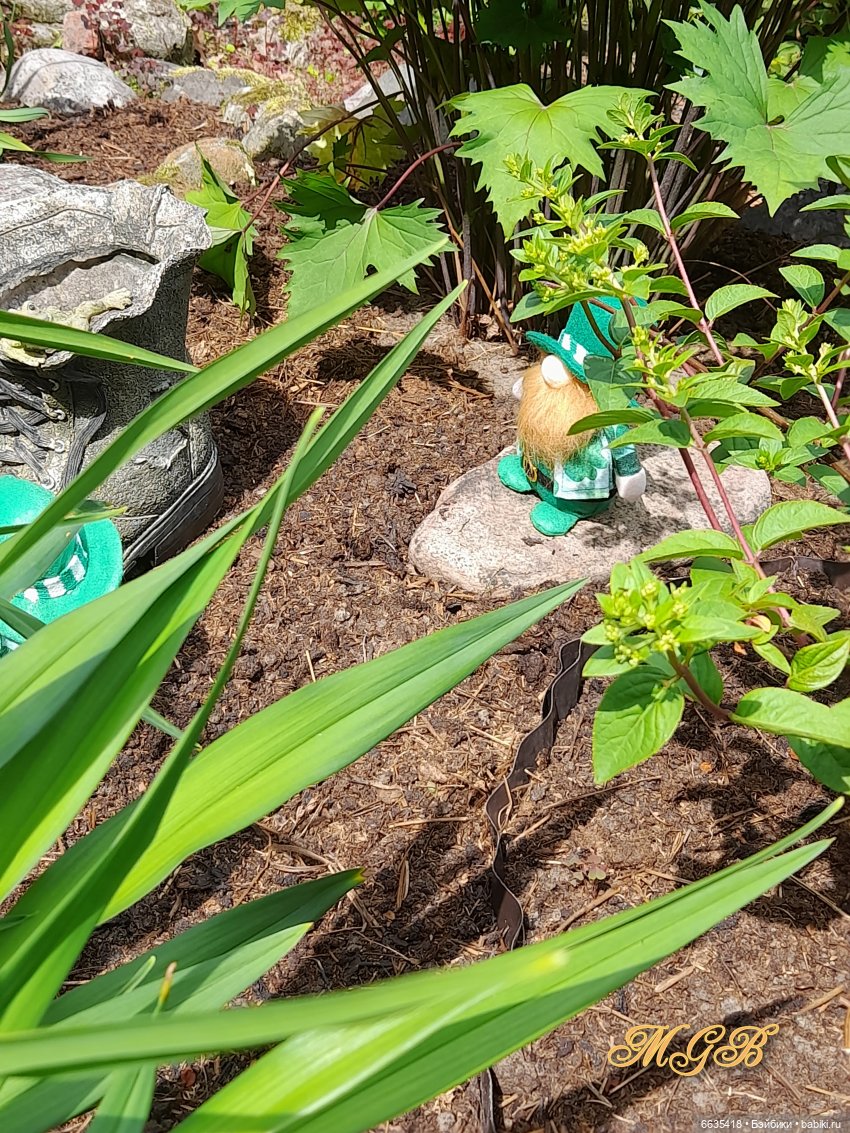 О том, как гуляли лесные гномы в саду