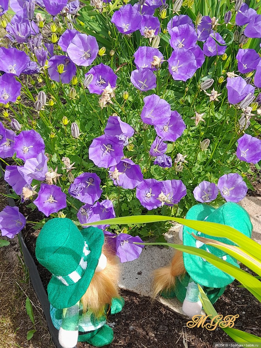 О том, как гуляли лесные гномы в саду