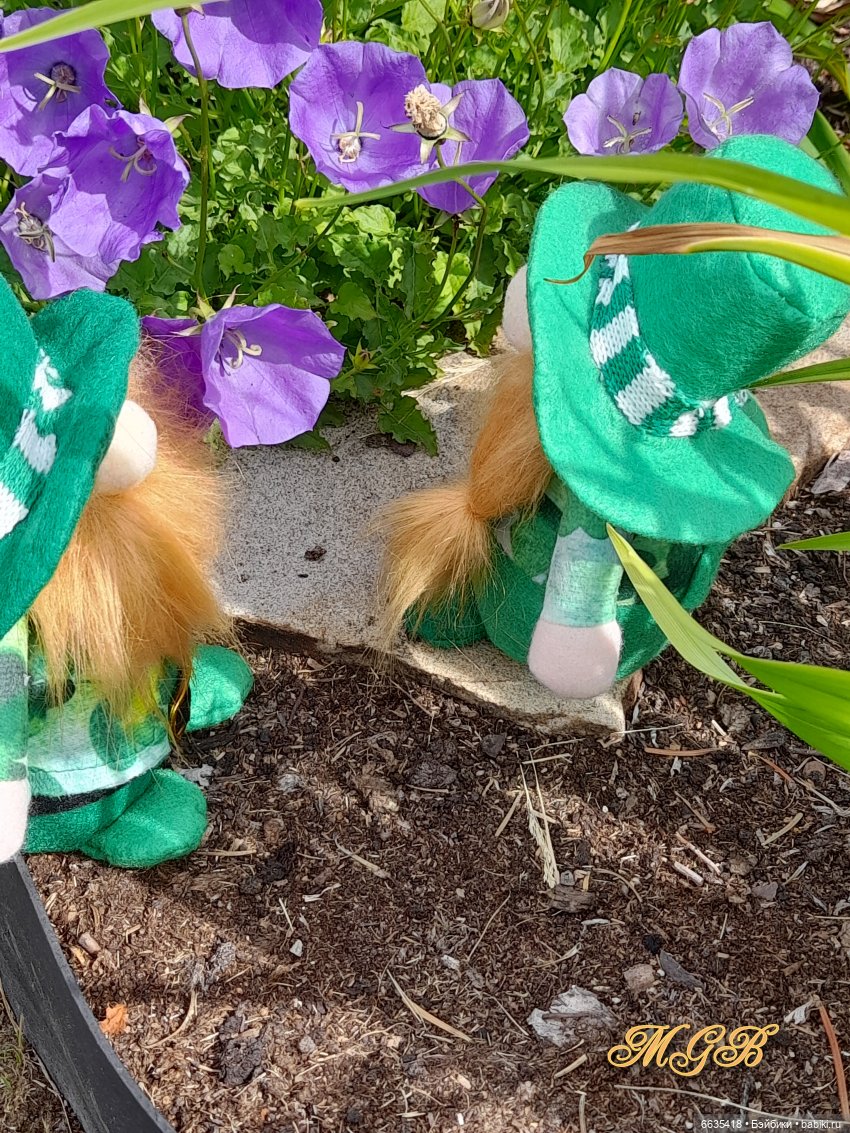 О том, как гуляли лесные гномы в саду