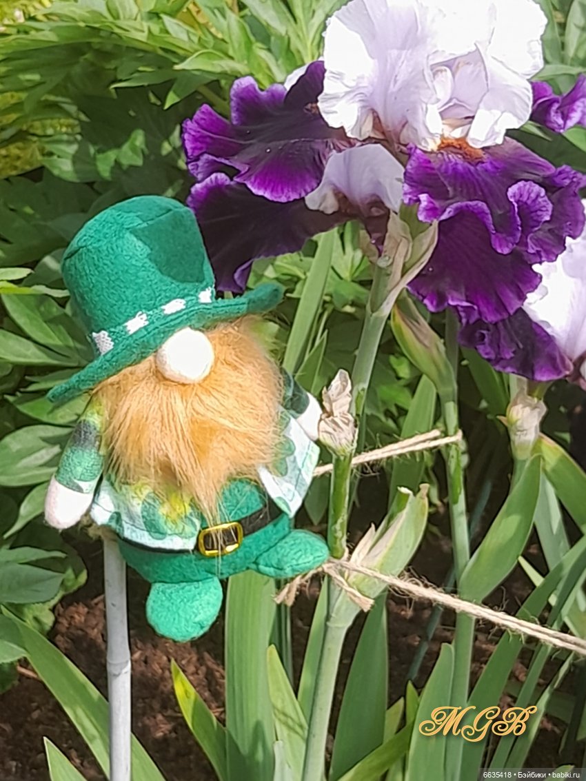 О том, как гуляли лесные гномы в саду