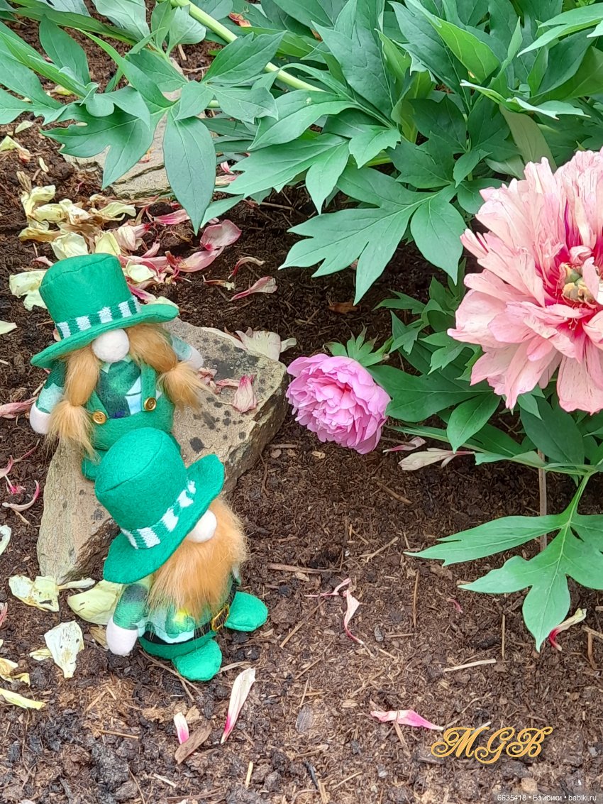 О том, как гуляли лесные гномы в саду