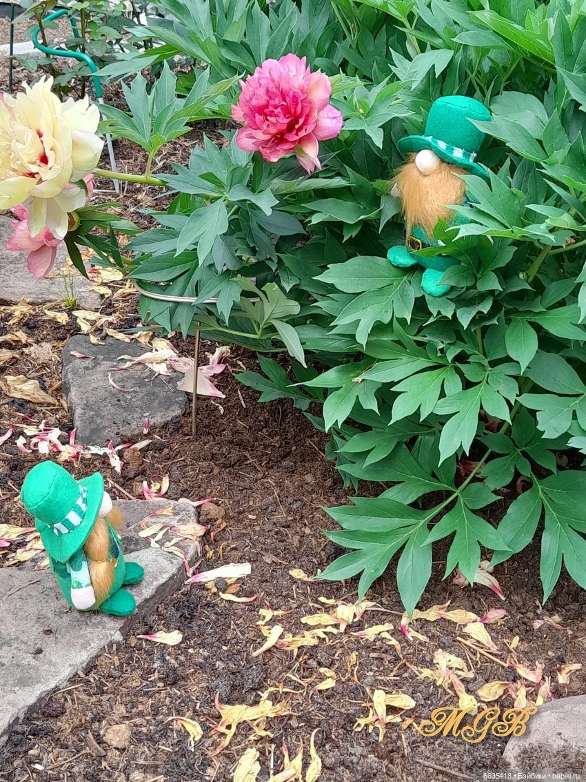 О том, как гуляли лесные гномы в саду