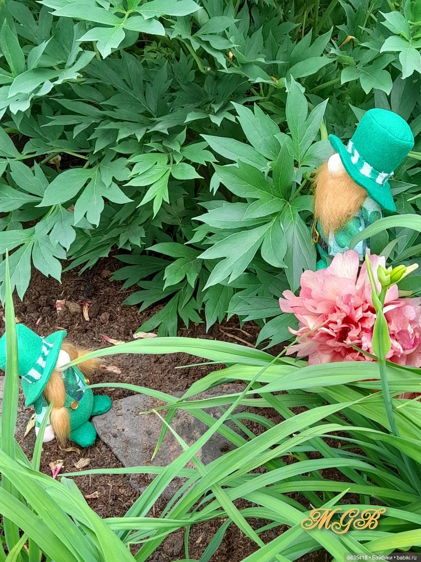 О том, как гуляли лесные гномы в саду