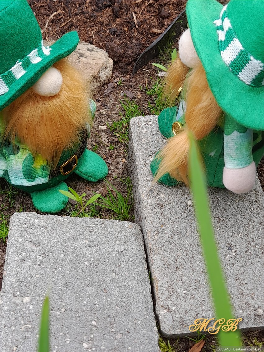 О том, как гуляли лесные гномы в саду (фото 2)