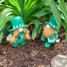 О том, как гуляли лесные гномы в саду.