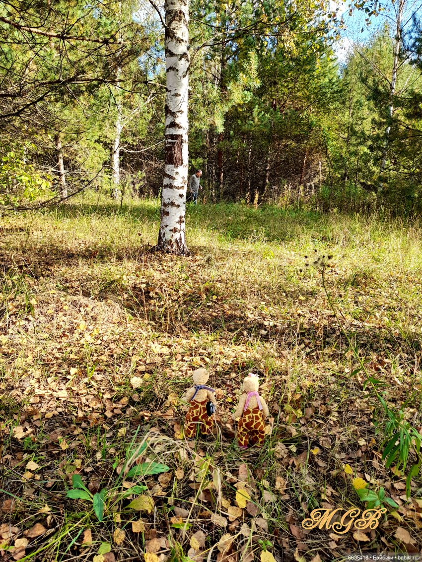 Прогулка в осеннем лесу. Часть 1. «Осенний лес» - Авторские куклы и игрушки  у нас дома | Бэйбики - 333015