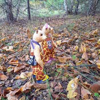 Прогулка в осеннем лесу. Часть 2.  «Мы идём сегодня в лес!»