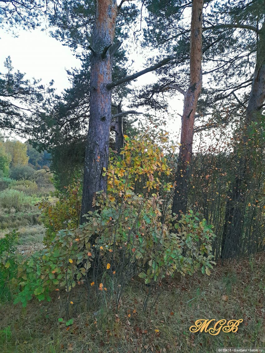 Прогулка в сентябре — Разные шарнирные куклы (не БЖД): редкие