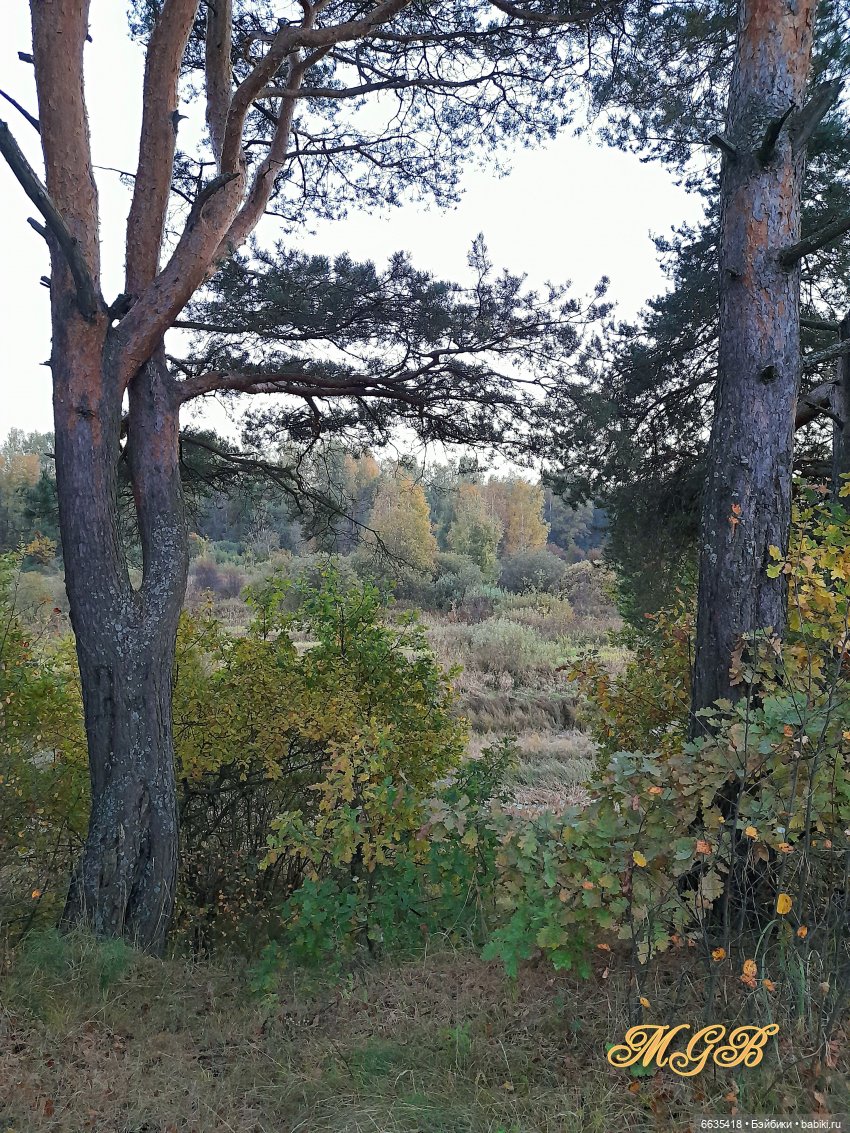Прогулка в сентябре — Разные шарнирные куклы (не БЖД): редкие