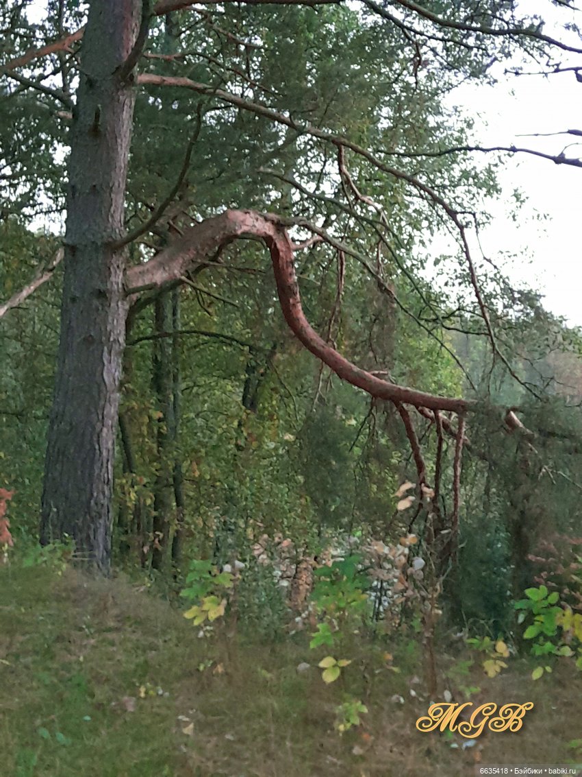 Прогулка в сентябре — Разные шарнирные куклы (не БЖД): редкие